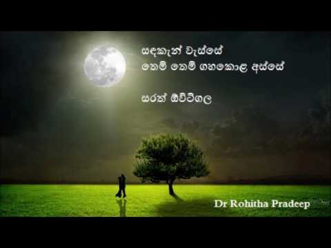 sadakan wasse සඳකැන් වැස්සේ සරත් ඕවිටිගල Sarath Ovitigala