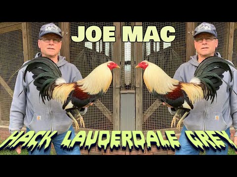 Beautiful Birds Joe Mac Farm Grit & Steel