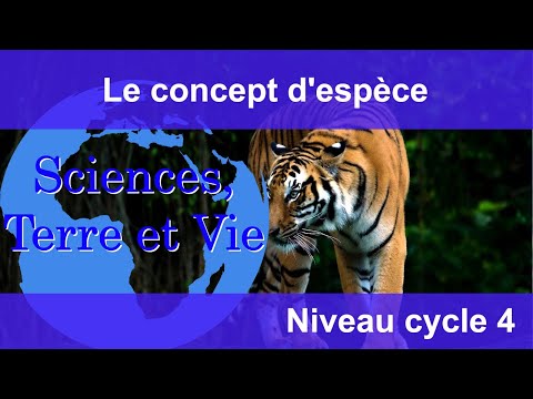 Le concept d'espèce