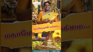 Download lagu ஸ்ரீ சக்கர மஹாமேரு MAHAMERU contactWhatsApp number: 91 98843 30515, 82483 75030.. mp3 Download lagu ஸ்ரீ சக்கர மஹாமேரு MAHAMERU contactWhatsApp number: 91 98843 30515, 82483 75030.. mp3