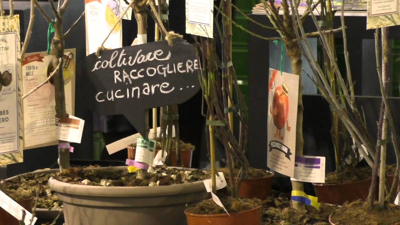 Myplant & Garden, per gli addetti ai lavori