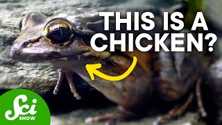 8 More Terrible Names for Living Things