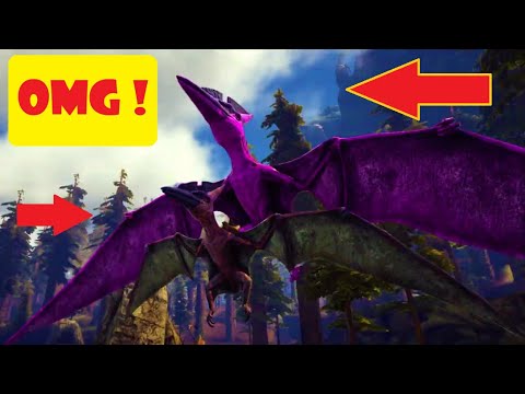 OMEGA PTERANODON ARK | Ark 2021