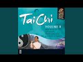 Tai Chi (Chuan)