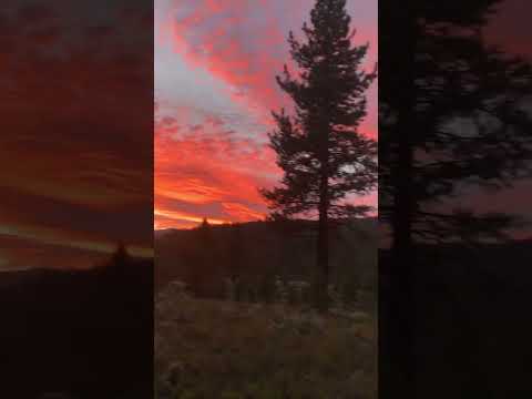 Beautiful sunsets