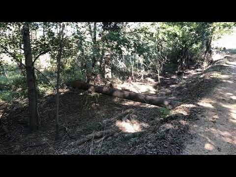 Archive 27 Video thumbnail