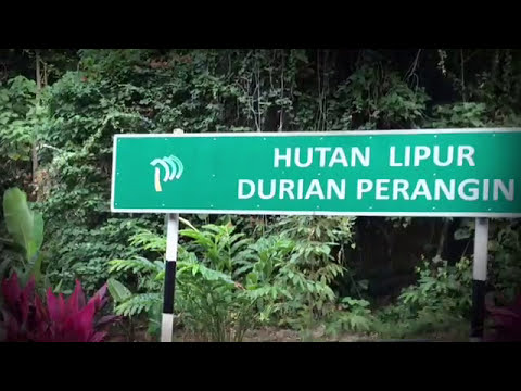 download lagu mp3 mp4 Coming Soon Tamil Movies In Malaysia, download lagu Coming Soon Tamil Movies In Malaysia gratis, unduh video klip Coming Soon Tamil Movies In Malaysia