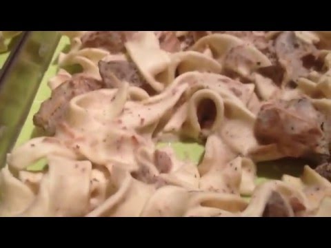 Beef Stroganoff Meal Rehydrated Freeze Dried New...