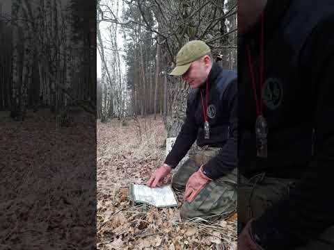 #słupki oddziałowe, oddziały leśne