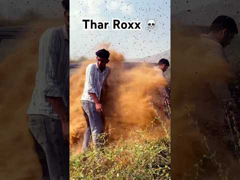 Thar ROXX vs Fortuner Legender: The Ultimate Showdown!