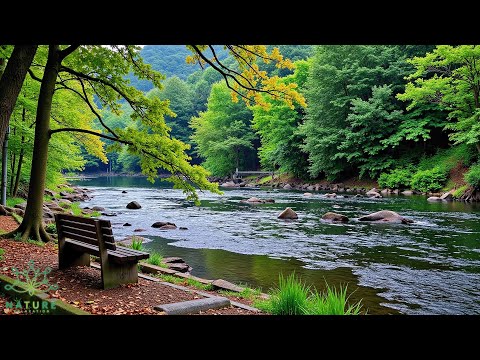Beautiful Relaxing Music🌿 Recover Your Nervous System, Stop Overthinking, Stress Relief Music
