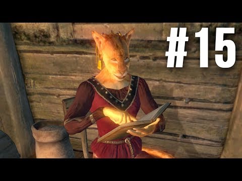 Let's 100% Oblivion Part 15 - Pretty Kitties