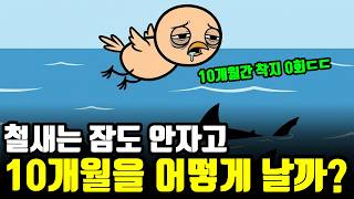 Download lagu 10개월 동안 단 한 번도 땅을 안 밟는다고? 잠 한숨 안 자고 태평양 건너는 철새의 소름 돋는 비밀 mp3 Download lagu 10개월 동안 단 한 번도 땅을 안 밟는다고? 잠 한숨 안 자고 태평양 건너는 철새의 소름 돋는 비밀 mp3
