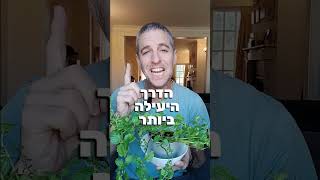 5 הכללים הכי יעילים להשקיית צמחי בית