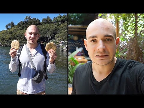 download lagu mp3 mp4 Space Cookies, download mp3 Space Cookies free downloadn, video klip Space Cookies