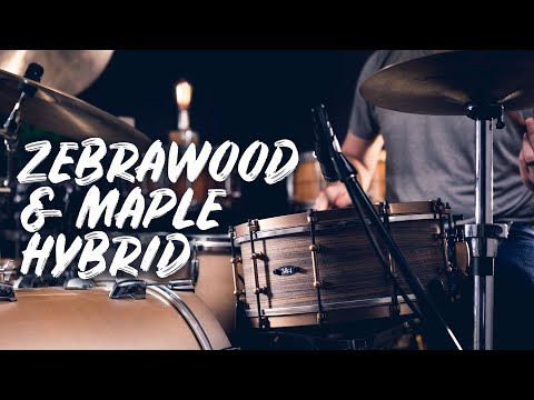 Next-Level Ply Snare | 3rd & 4th Drum Co. Zebrawood Snare Spotlight