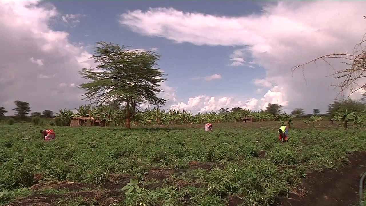 African Human Development Report 2012