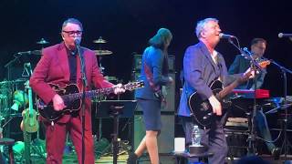 Squeeze Live 2019: Pulling Mussels from the Shell