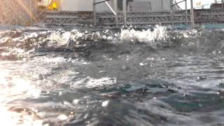 Swimming pool onboard the MS Balmoral Titanic Memorial Cruise part 2