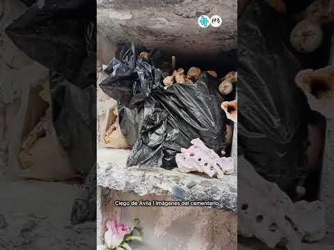 Cementerio de Ciego de Ávila: señales de abandono