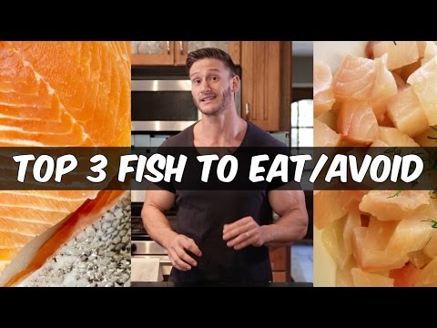 image-What's more expensive halibut or cod?
