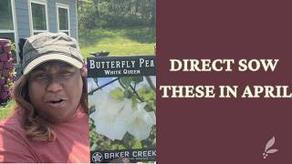 Direct Sow These in April| 1 Week Before Last Frost Date