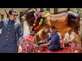 BAKRA EID KA PEHLA DIN Without Bakra