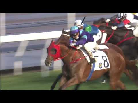 20/2/2022 (443) Charity Grace - Matthew Poon