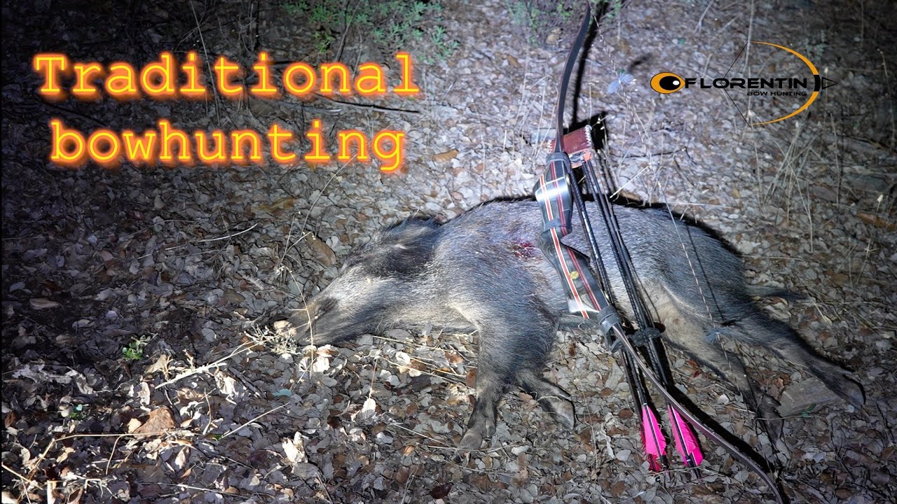 CAZA CON ARCO  EN MOVIMIENTO, Jabali