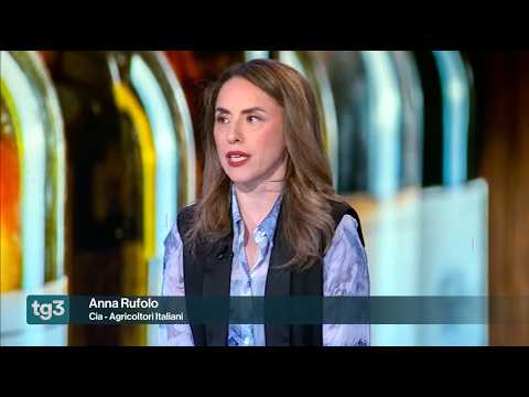 TG3 - Vinitaly: il futuro del vino italiano tra export e nuove sfide. Ospite Anna Rufolo (Cia)