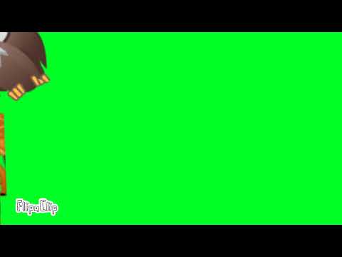 Звери и птицы хромакей