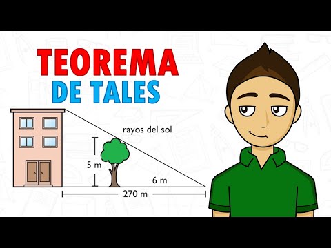 TEOREMA DE TALES Super facil  - Para principiantes