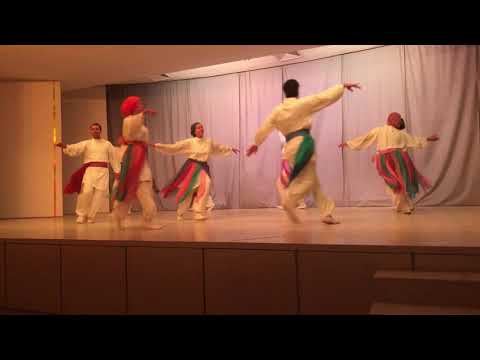 Sekem Eurythmy Ensemble performance of  "Secrets of  Moonlight"
