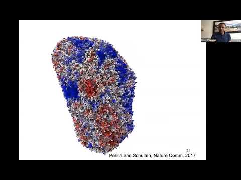 Using molecular dynamics simulations to design novel inhibitors of  topoisomerase enzymes