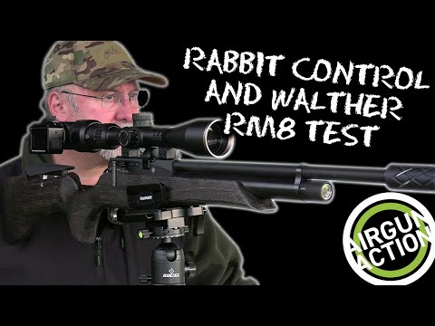 Airgun Action | Rabbit hunting | Walther Rotex RM8 UC air rifle review
