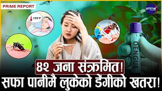 तराईबाट पहाडसम्म फैलियो डेंगी! धनकुटासम्म पुग्यो खतरनाक संक्रमण! | Prime TV HD