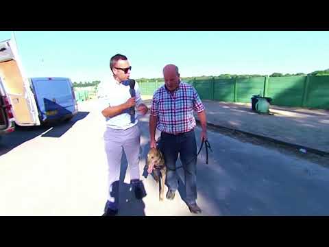 THE OTHER REG - SELECT STAKES WARM UP