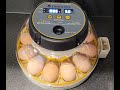 Incubating Chicken Eggs! Step-by-Step (Short version). Using the Kebonnixs Egg Incubator. April 2023
