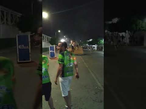 Toros en Tavernes Blanques