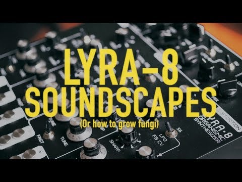 Soma Laboratory Lyra-8 Organismic Synthesizer 2019 - Black image 4