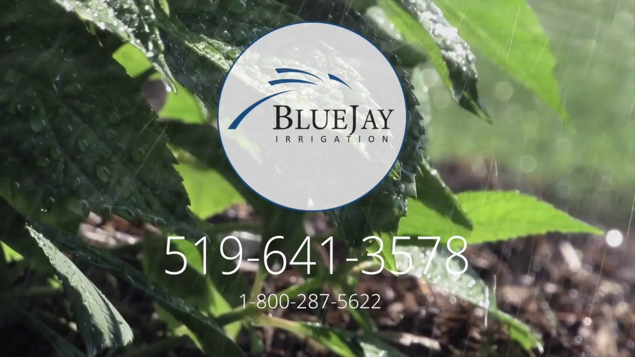 Promotional video thumbnail 1 for Blue Jay Irrigation