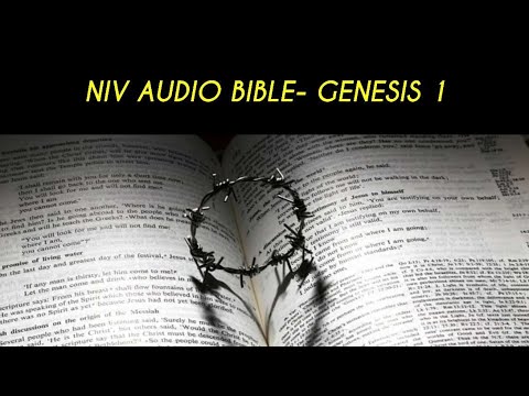 GENESIS 1 NIV AUDIO BIBLE (with text)