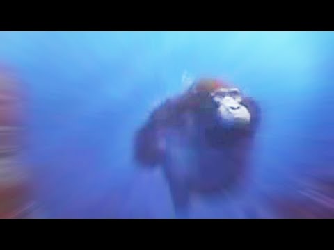 life could be a nightmare