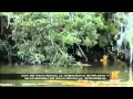 Swamp People Season 1