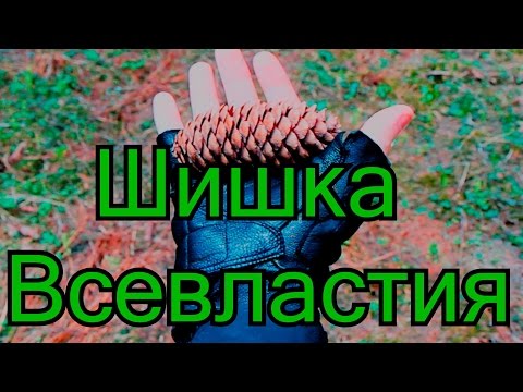 Шишка Всевластия.