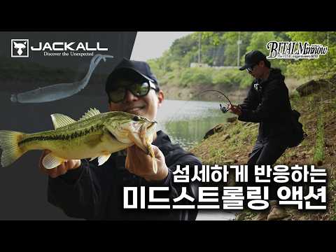 섬세한 미드스트롤링 액션으로 배스를 유혹하다｜바...