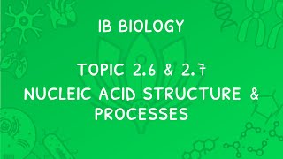 IB Biology Topic 2.6 & 2.7: Nucleic Acids, DNA Processes & Gene Transfer