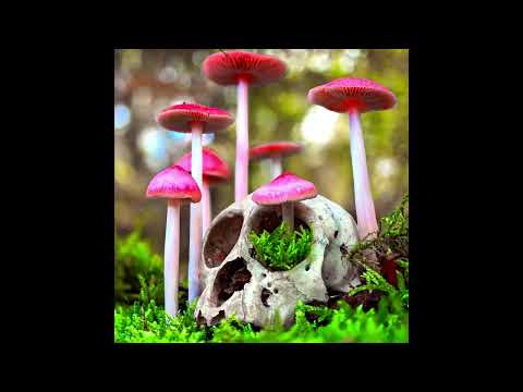 [FREE FOR PROFIT] Glaive x Ericdoa Hyperpop Type Beat - "pointless"