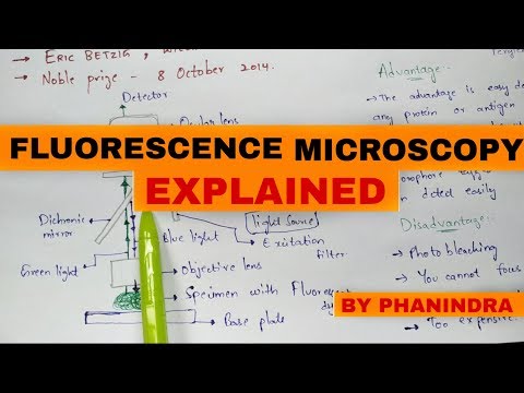 Bright Field Microscopy Principle Working Advantages and disadvantages