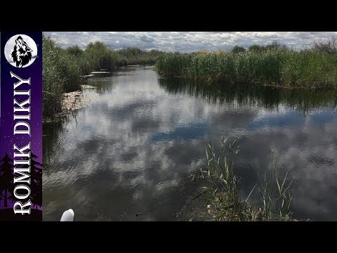 Фото Рыбалка на р. Топар. Змееголов. (Часть 2).